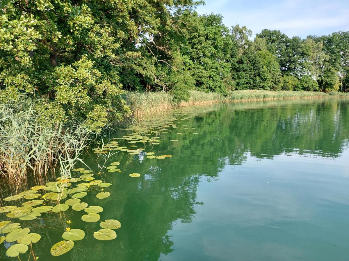 Jw Mazury Domy Wakacyjne Nad Jeziorem-Dom Czapla Waplewo  المظهر الخارجي الصورة