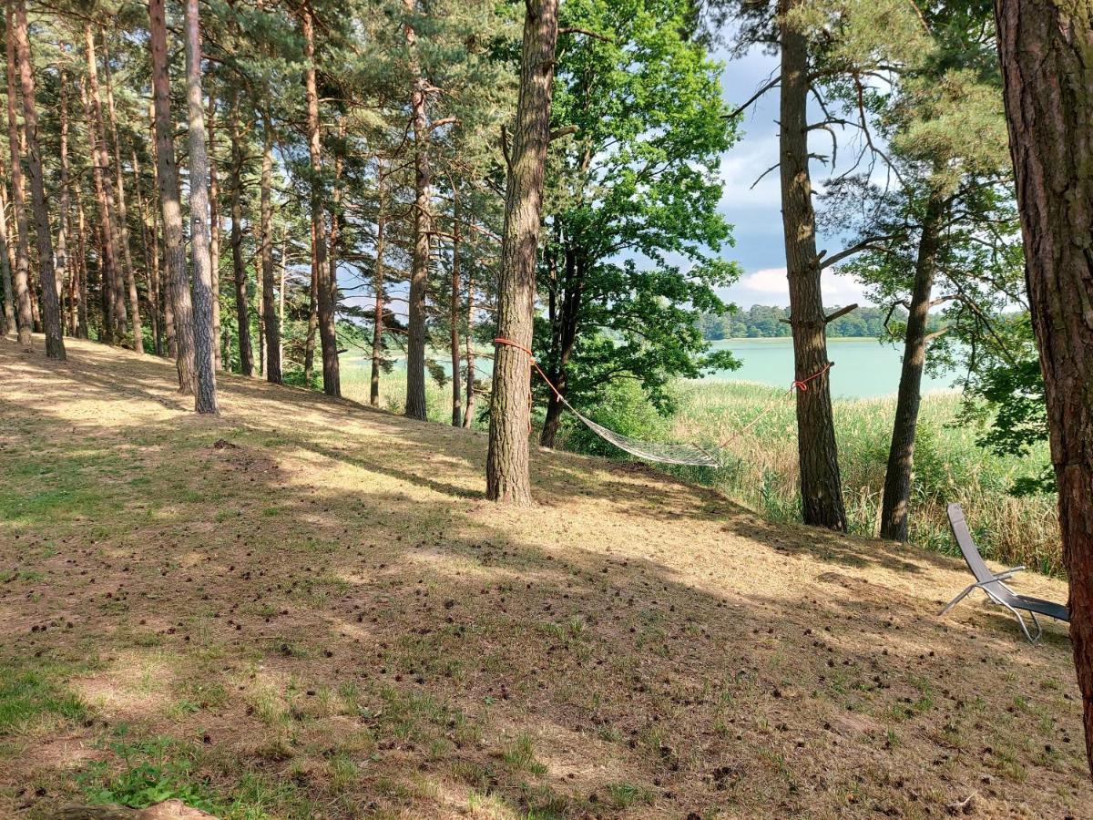 Jw Mazury Domy Wakacyjne Nad Jeziorem-Dom Czapla Waplewo  المظهر الخارجي الصورة